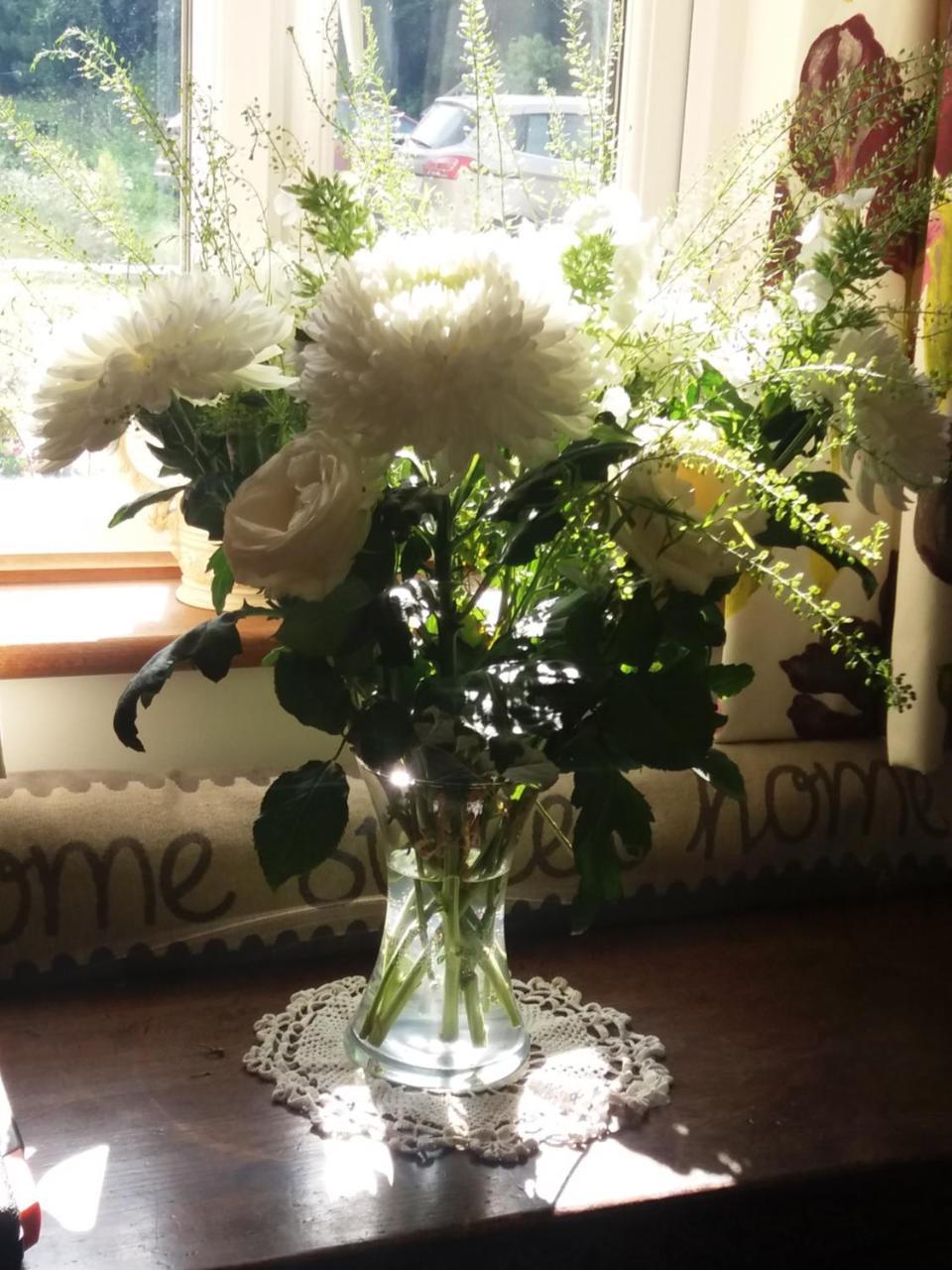Windylands Bed and Breakfast Chipping Sodbury Eksteriør billede